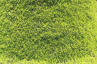 《星露谷物语》移动端上线1.5更新 添加中文支持