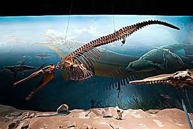 《蜡笔小新 我与博士的暑假 》公布中文预告 游戏5月4日发售